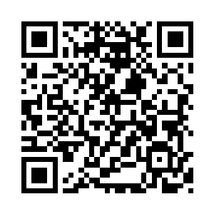 好像是那个跟着白硫亦一块出门的面生的小厮二维码生成