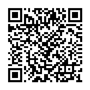 好像生怕从哪个地方忽然窜出个士兵袭击赵紫薇二维码生成