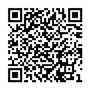 好像生怕他和秦洛干起架来会让白残谱为难似的二维码生成