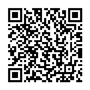 好像自己上次在这里来接任务的时候她就在门外经过二维码生成