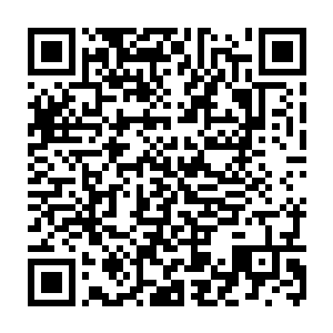 好像这两天是动弹最激烈但应该是林棉这边境总指挥去第二天就开始移了动二维码生成