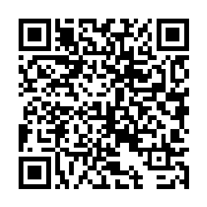 好几次他盯着底下黝黑深蓝的海水看了好几个时辰二维码生成