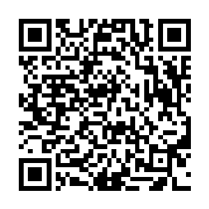 好几次都险些被父亲撞出了车子――还好系着安全带二维码生成