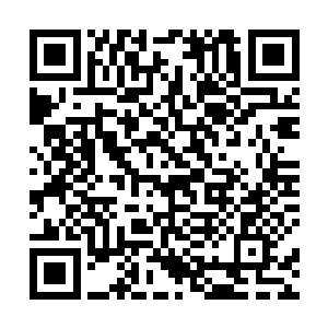 好几百万就这么白扔了……那明年你打算弄多少广告费二维码生成