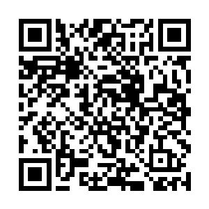 好半天借着月光和微弱的火光看清楚院子门外站的人二维码生成