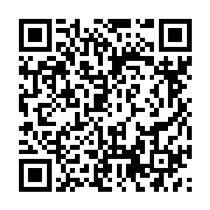 好在之前十大首领缴纳的宝贝中有金属飞船的存在二维码生成