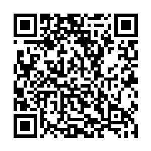 好在之前南仙岛和南仙剑派的弟子都见过这样的阵仗二维码生成