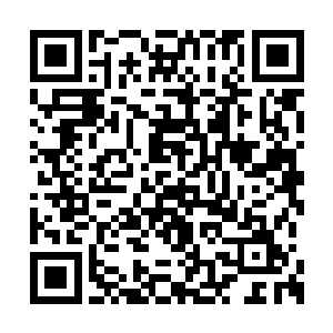 好在从北璃陌那里打劫了将近一万枚万魔丹……二维码生成