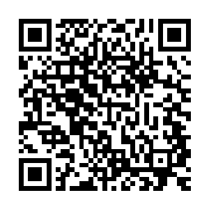 好在先前的时候有些资料已经传输到了霍普金斯整个团队这边来二维码生成