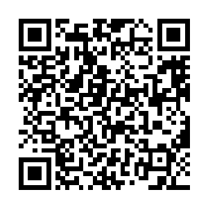 好在李破晓怕我没签下天西过户手续就给附身弄傻了二维码生成