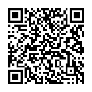 好在梅迪尔丽送过来的这批士兵的确是精锐中的精锐二维码生成