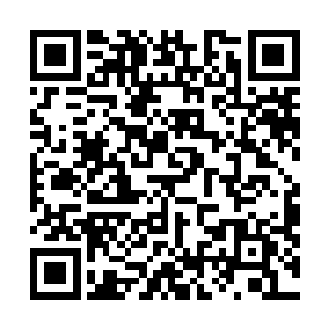 好在空间里这种非耗材类的东西只要拿出来就会自动补充二维码生成
