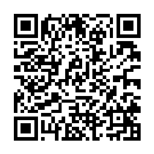 好在血将军背后形成的那血色触手可以说是瞬息幻变二维码生成