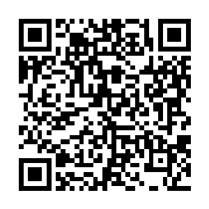 好在跟我一起过来的那些百姓也都是被那些怪物培训过的二维码生成