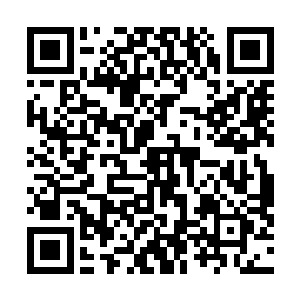 好在跟随许紫烟在古荒山脉中已经历练了一个多月的时间二维码生成