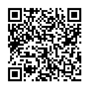 好在这座岛上现在已经被他们夫妇二人布置下了威力强大的禁阵二维码生成