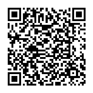 好在那两颗陨石还不足以对伊普西龙伯伯身体制成的飞船造成伤害二维码生成