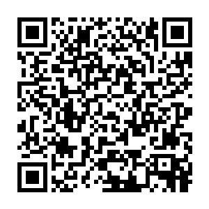 好在陪伴维尼去马戈尔学院学习的老管家详细地描述了维尼的病情二维码生成