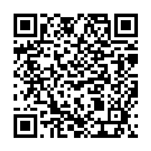 好多双眼睛盯着呢…收获的所有战利品都是要上缴滴…二维码生成