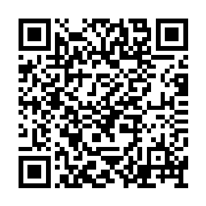 好好没想到圣殿这次竟然花费了如此巨大的血本二维码生成