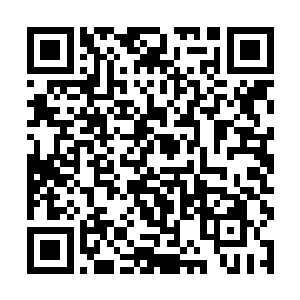 好歹留两个人来大门处协助我……还有给我留点活口二维码生成