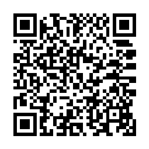 好莱坞只要消息灵通的人都知道她在杜克面前说话的份量二维码生成