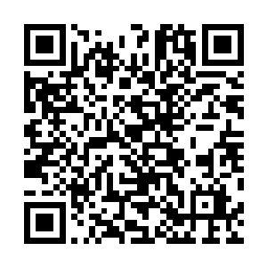 好莱坞外国记者协会肯定不会放任这样的情况持续太久的二维码生成