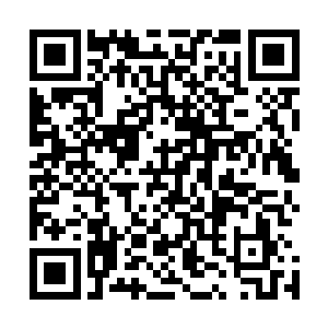 好莱坞的精良大制作都是建立在每年数百部烂片的基础上的二维码生成