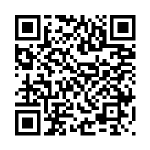 好让乘客相信航空公司是很上档次二维码生成