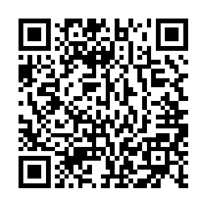 好让自己联络好南耀国朝堂上支持北堂国求和意见的官员二维码生成