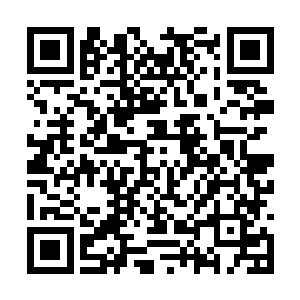 好象在京城里柴家只有过去在我们家的陈画师了吧二维码生成