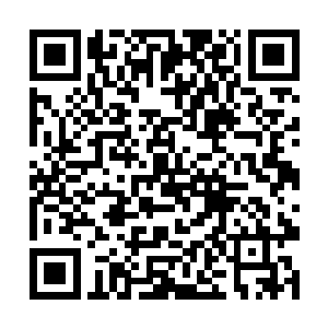 如今你们武魂一脉已经完全不是我们光明圣殿的对手二维码生成