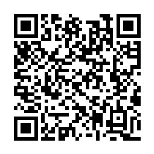 如今倒是从莫煌这边听到了一些关于小石界的情况二维码生成