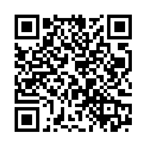 如今光头强的人竟然顺了公安局副局长的包包二维码生成
