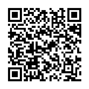 如今再次被捡起来不过是因为她身上有利用的价值二维码生成