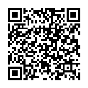 如今十条天街的大权已经总揽在了碧月夫人的手上二维码生成