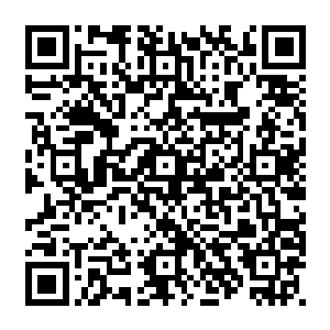 如今却因为当年在那么多人的逼迫下犯的一丁点错误将这么多年的辛苦努力化为泡影二维码生成