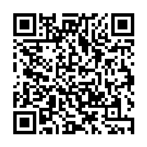 如今却是借着太子未曾出世的时机给查的清清楚楚了二维码生成