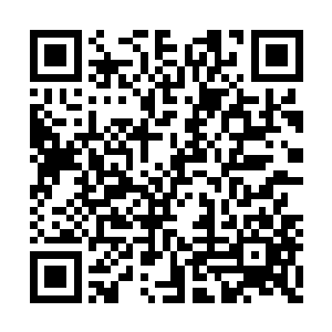 如今又发现金血对灵草灵药的成长有巨大的帮助二维码生成