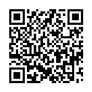 如今又多了气质沉静温婉如玉的许瑾瑜二维码生成