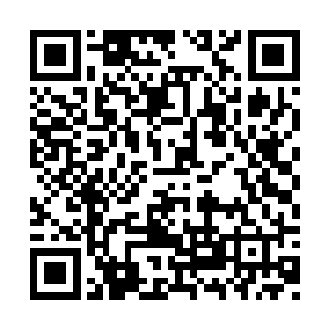 如今叶尊在血海战场已经是名震天下的妖孽天才二维码生成