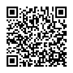 如今听到大长老说这座仙阵已经超越了超品阵道境界二维码生成