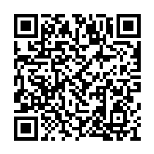 如今圣级混沌兽和域外天魔的数量只有二百出头二维码生成