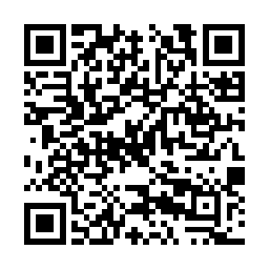 如今在园子里头时常总会看见那些带着刀剑的侍卫二维码生成
