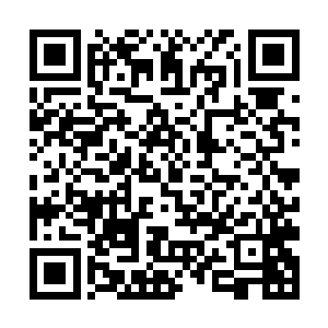 如今夜辜星所站的高度国内任何一个女星都无法企及二维码生成