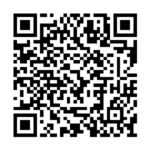 如今好不容易在曼谷站稳脚步并且前景一片大好二维码生成