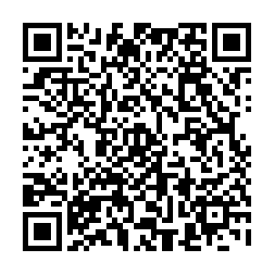 如今已经集中资源在短短三百多年的时间扶持了十二个紫莲修士突破到金莲境界二维码生成