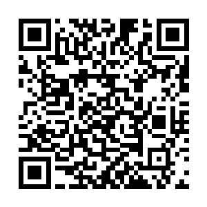 如今异界已是先我们两界培养这人皇洞府的继承人了二维码生成