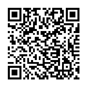 如今成了无极宗以至于整个灵武大陆修为最高的修士二维码生成