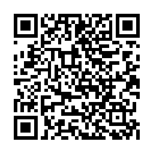如今我已经拥有足够的实力对抗十大守护家族了二维码生成